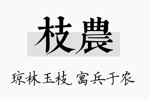 枝农名字的寓意及含义