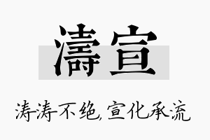 涛宣名字的寓意及含义