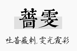 蔷雯名字的寓意及含义