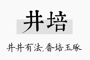 井培名字的寓意及含义