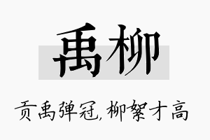 禹柳名字的寓意及含义