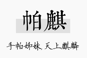 帕麒名字的寓意及含义