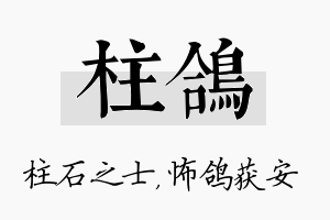 柱鸽名字的寓意及含义