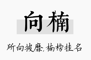 向楠名字的寓意及含义