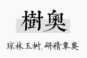 树奥名字的寓意及含义