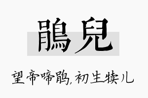 鹃儿名字的寓意及含义