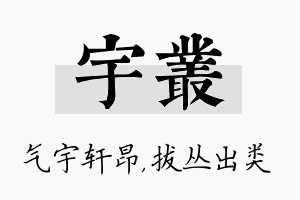 宇丛名字的寓意及含义