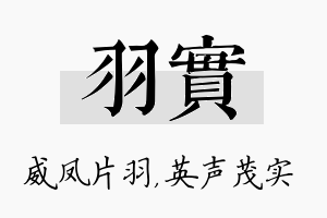 羽实名字的寓意及含义