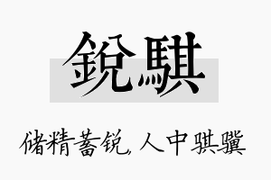 锐骐名字的寓意及含义