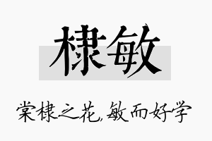 棣敏名字的寓意及含义