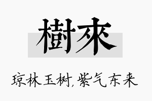 树来名字的寓意及含义