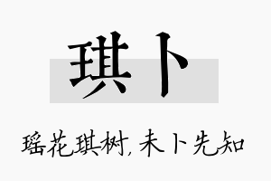 琪卜名字的寓意及含义