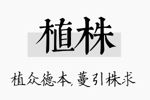 植株名字的寓意及含义