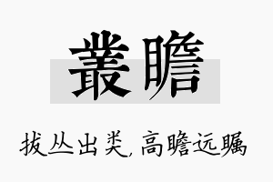 丛瞻名字的寓意及含义