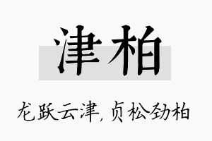 津柏名字的寓意及含义