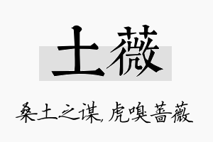 土薇名字的寓意及含义