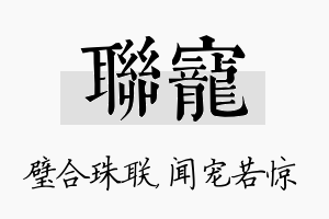 联宠名字的寓意及含义