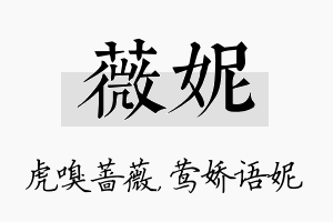 薇妮名字的寓意及含义