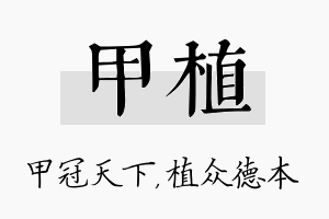 甲植名字的寓意及含义