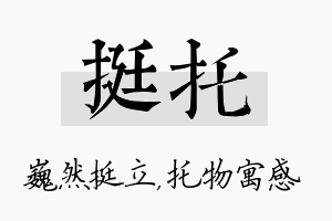 挺托名字的寓意及含义