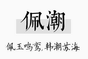 佩潮名字的寓意及含义