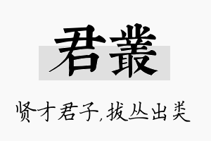 君丛名字的寓意及含义