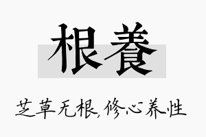 根养名字的寓意及含义