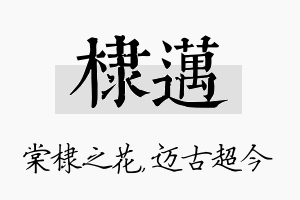 棣迈名字的寓意及含义