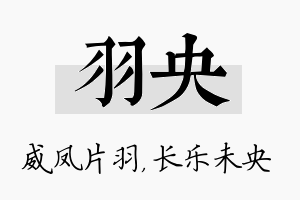 羽央名字的寓意及含义