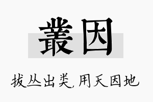 丛因名字的寓意及含义