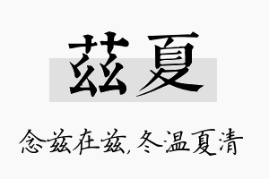 兹夏名字的寓意及含义