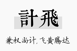 计飞名字的寓意及含义