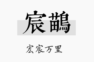 宸鶓名字的寓意及含义