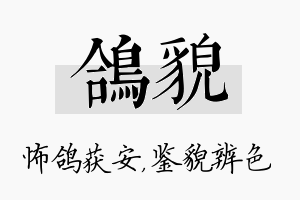 鸽貌名字的寓意及含义