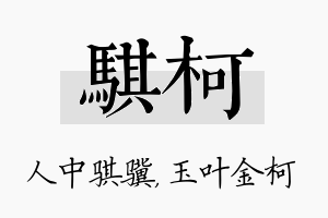 骐柯名字的寓意及含义