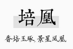 培凰名字的寓意及含义