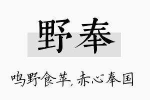 野奉名字的寓意及含义