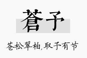 苍予名字的寓意及含义