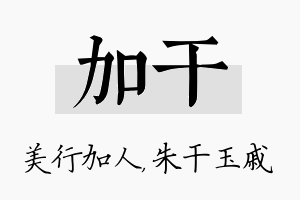 加干名字的寓意及含义