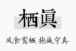 栖真名字的寓意及含义