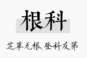 根科名字的寓意及含义