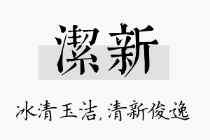 洁新名字的寓意及含义