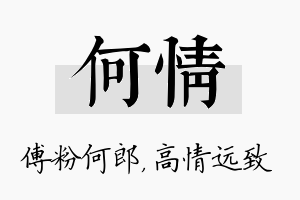 何情名字的寓意及含义