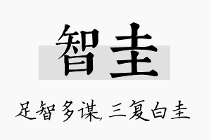 智圭名字的寓意及含义