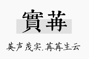 实苒名字的寓意及含义