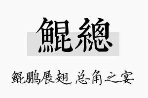 鲲总名字的寓意及含义