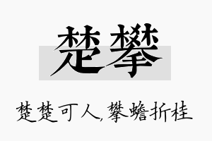 楚攀名字的寓意及含义