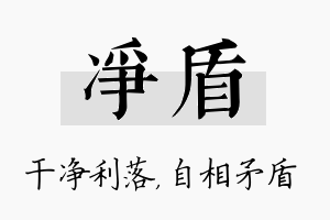 净盾名字的寓意及含义