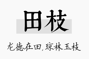 田枝名字的寓意及含义