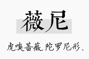 薇尼名字的寓意及含义